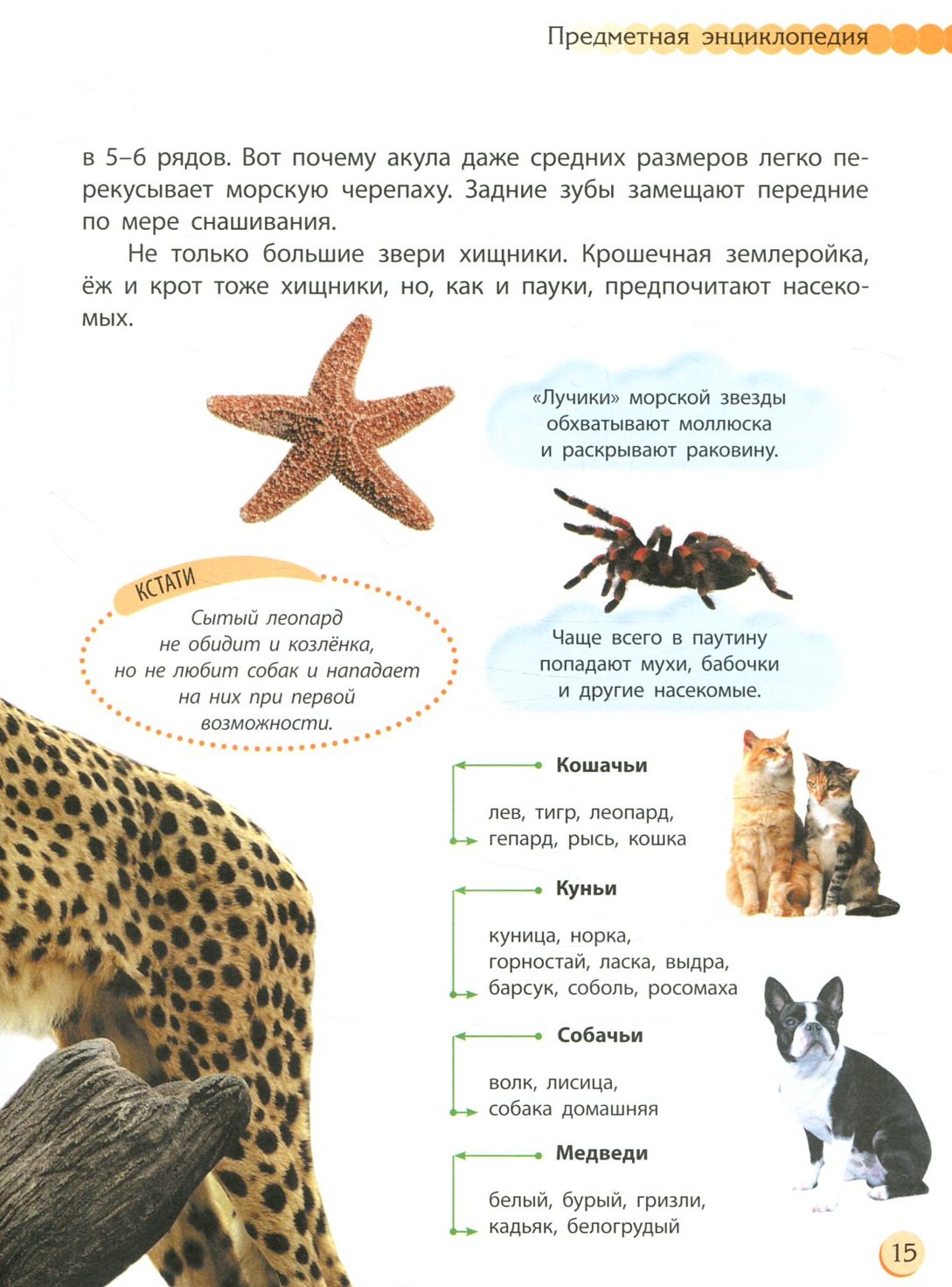 Пізнаємо та досліджуємо: Животный мир (р)