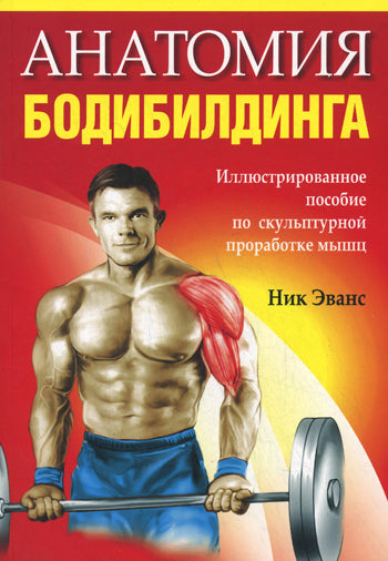 Анатомия бодибилдинга