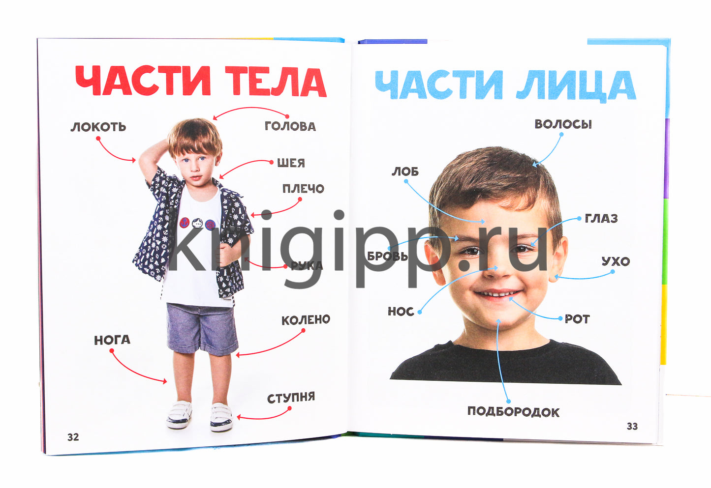 ГЛАВНАЯ КНИГА МАЛЫША матов.ламин.обл. выб.лак. офсет 203х257