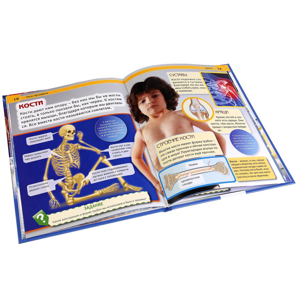 Тело человека. (Энциклопедия А4 с развивающими заданиями). Тв. переплет. 48стр. Умка в кор.15шт