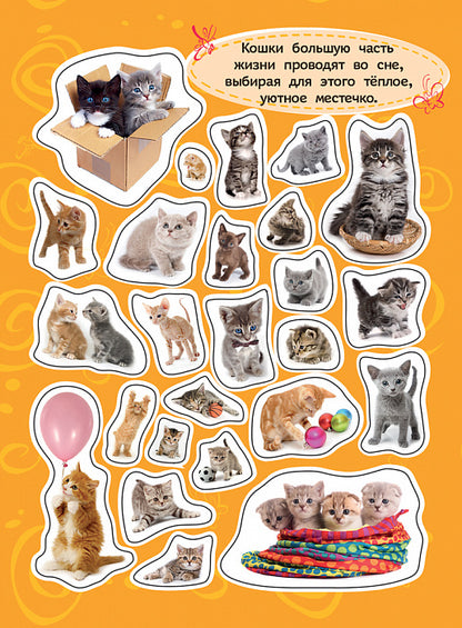 100 наклеек. Котята