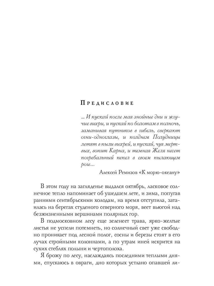 Тихие омуты