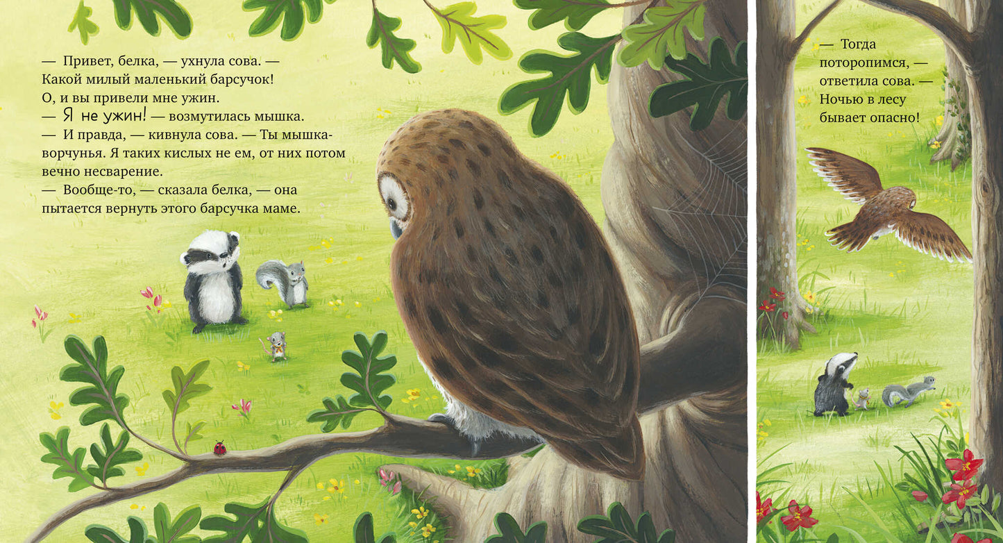 Кк. Книжки-картинки. Я не ворчунья!