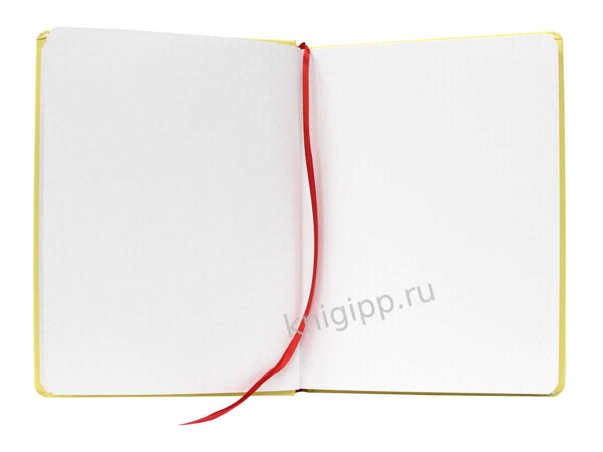 БЛОКНОТ ТОЧКАБУК Классик 162х222. Голубь в очках