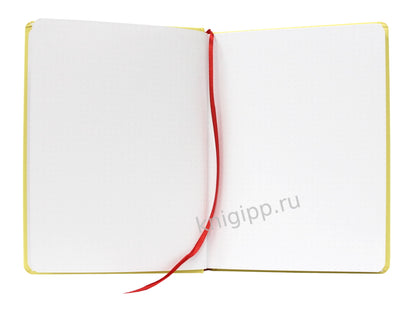 БЛОКНОТ ТОЧКАБУК Классик 162х222. Голубь в очках