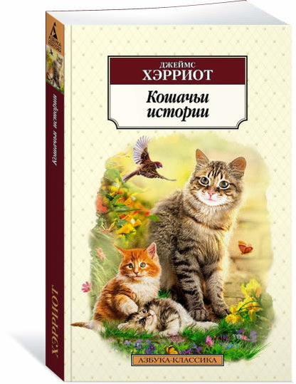 Кошачьи истории