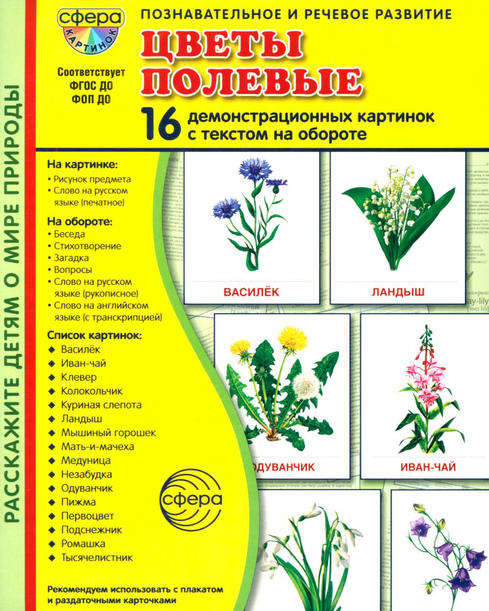 Дем. картинки СУПЕР Цветы полевые. 16 демонстрационных картинок с текстом В ПАПКЕ (173х220 мм)