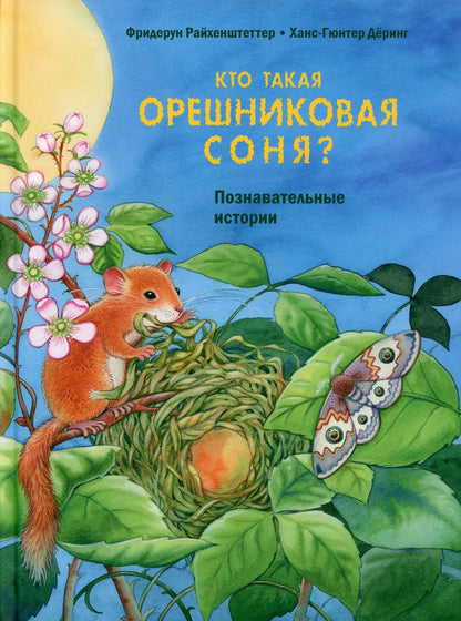 Кто такая орешниковая соня? Познавательные истории (НОВИНКА)