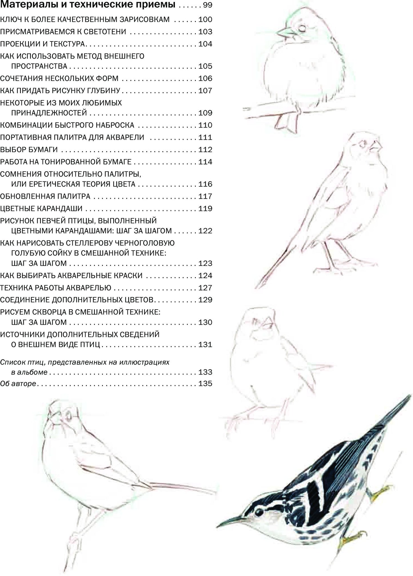 Как рисовать птиц