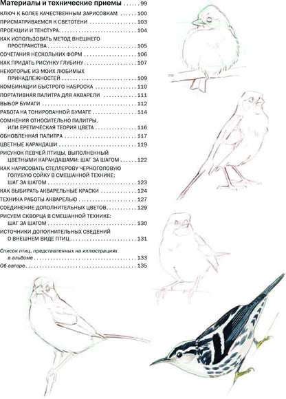 Как рисовать птиц