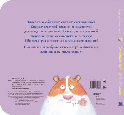 КАРТ Смеётся солнце в облаках!