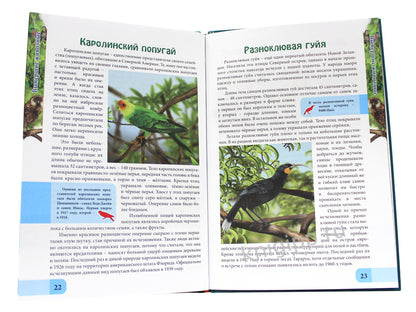 ЭНЦИКЛОПЕДИЯ. В МИРЕ ЗНАНИЙ. ВЫМЕРШИЕ ЖИВОТНЫЕ