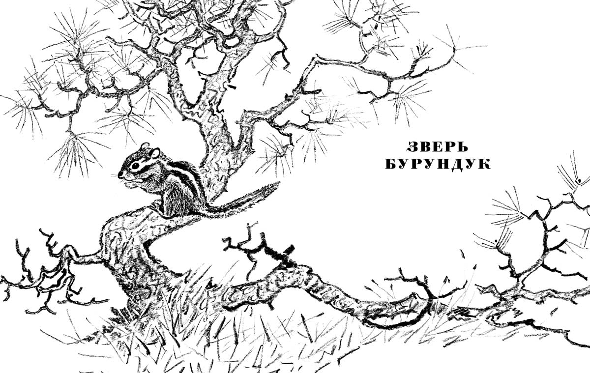 Золотой луг.