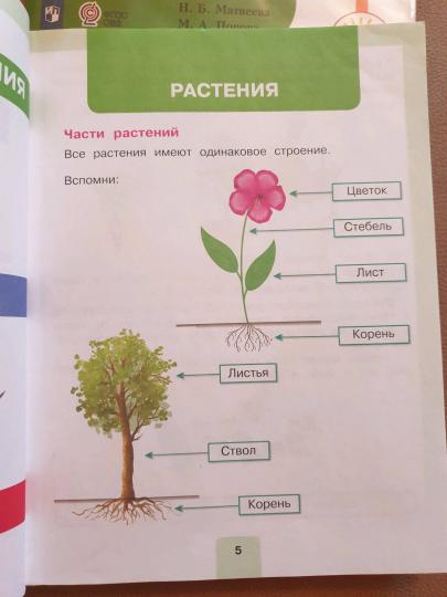 Мир природы и человека. 2 класс. В 2 частях. Часть 1 (для обучающихся с интеллектуальными нарушениями). Учебное пособие