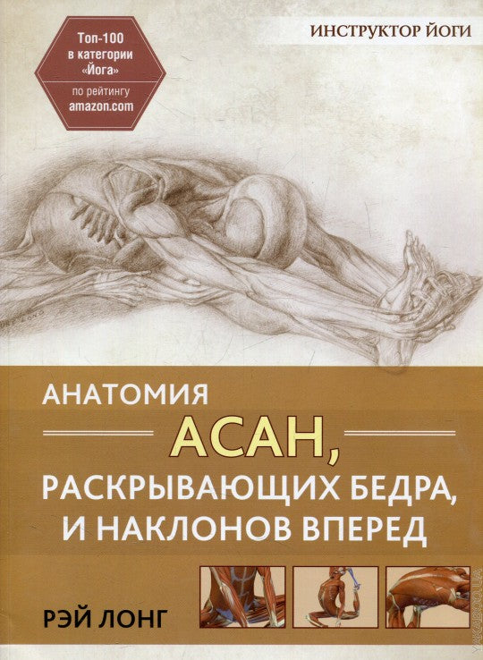 Анатомия асан, раскрывающих бедра, и наклонов вперед