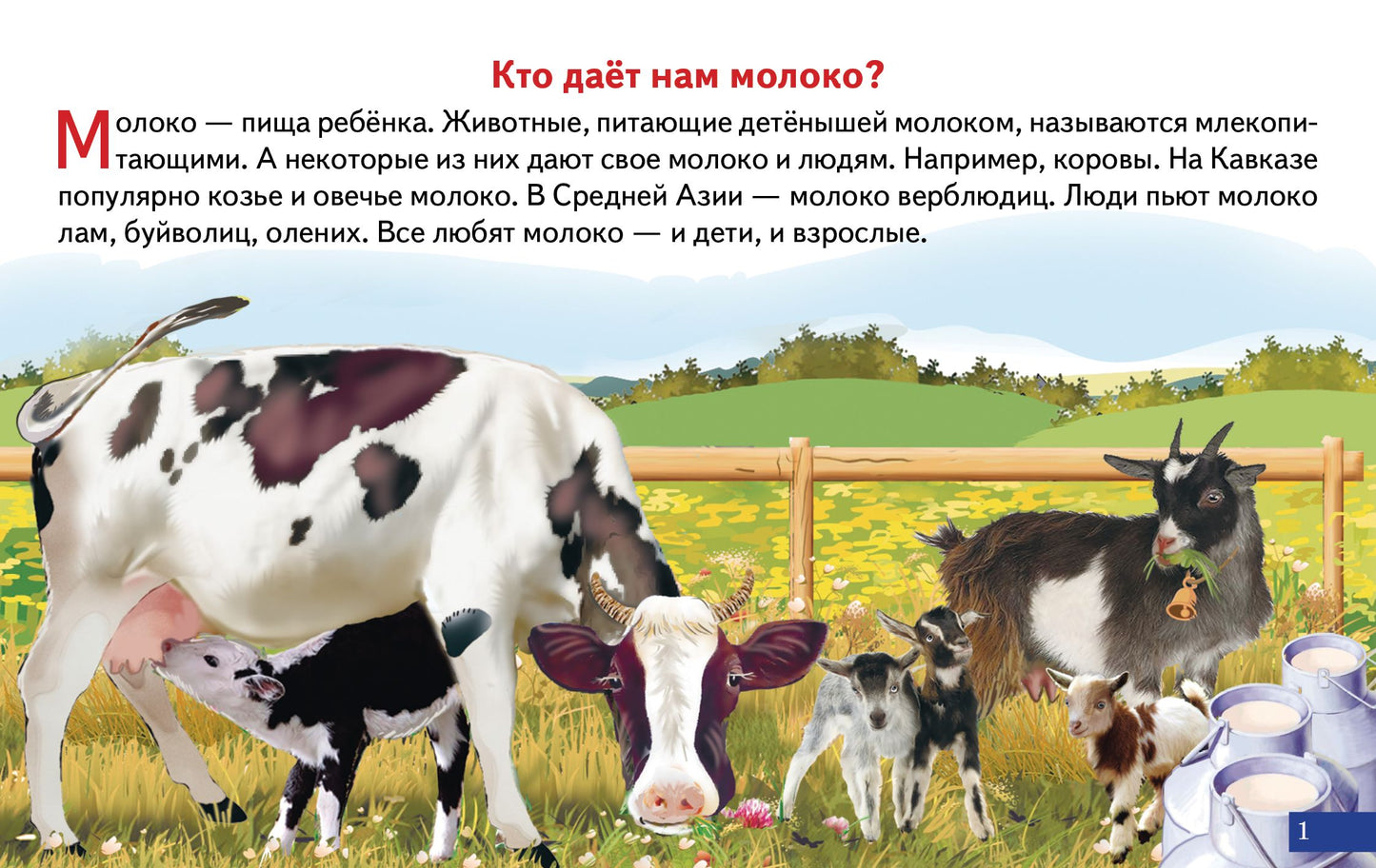 Карточки. Как получается молоко; Карточки. Как получается молоко