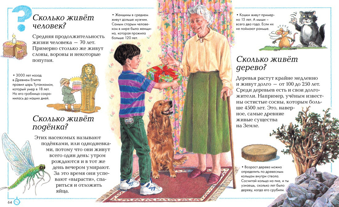 Qu'en est-il et qu'en est-il ?