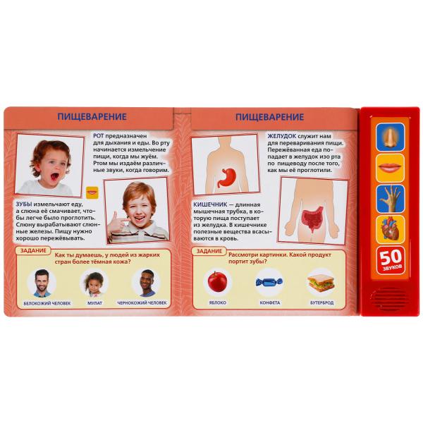 Livre de livre pour enfants (5 кн. 50 голосов) 200х175мм 10стр Умка