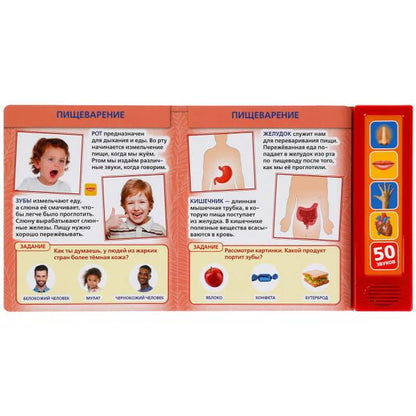 Livre de livre pour enfants (5 кн. 50 голосов) 200х175мм 10стр Умка