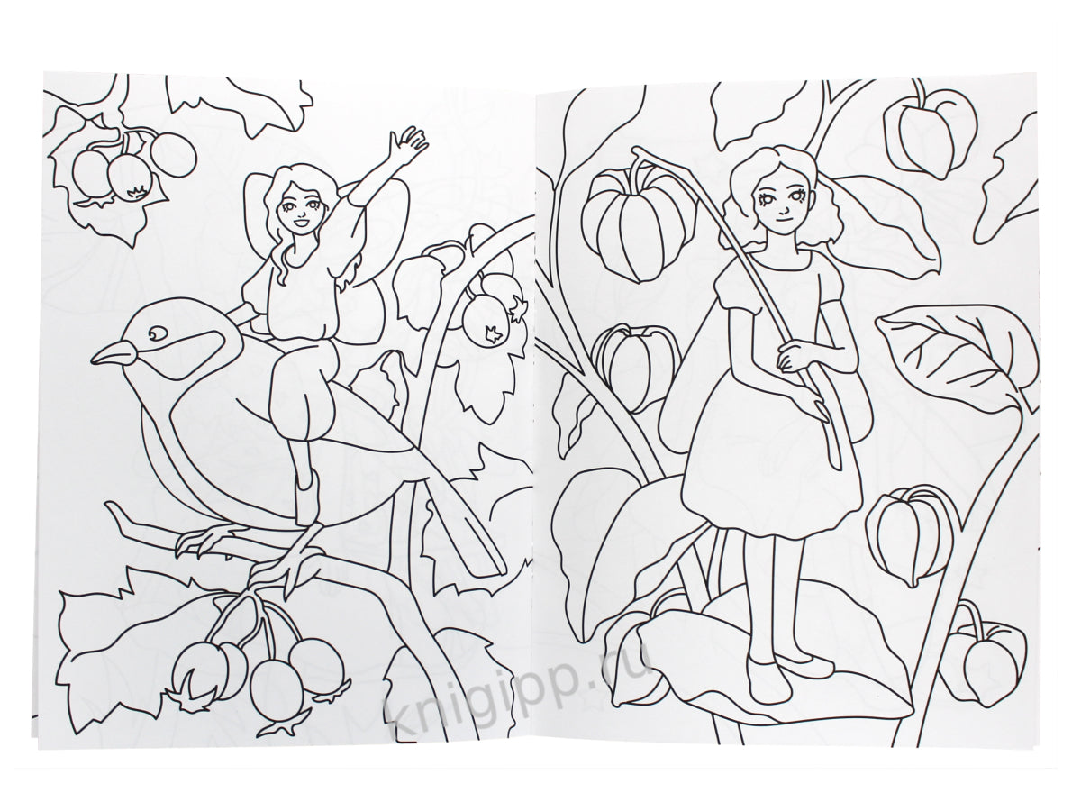 РАСКРАСКА С БРАСЛЕТИКАМИ. ВОЛШЕБНИЦЫ