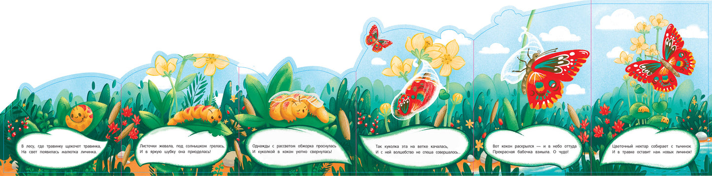 Бабочка: книжка-гармошка