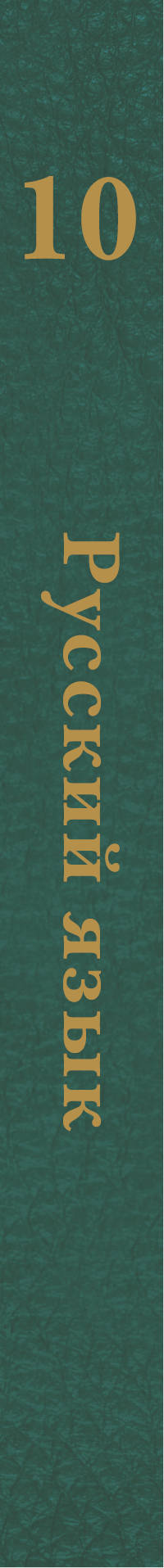 Русский язык. Базовый и углубленный уровни. 10 класс. Учебник