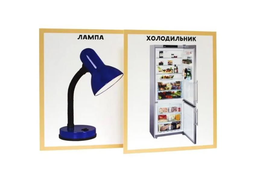 РАЗУМНЫЕ КАРТОЧКИ. МОЙ ДОМ