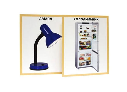 РАЗУМНЫЕ КАРТОЧКИ. МОЙ ДОМ