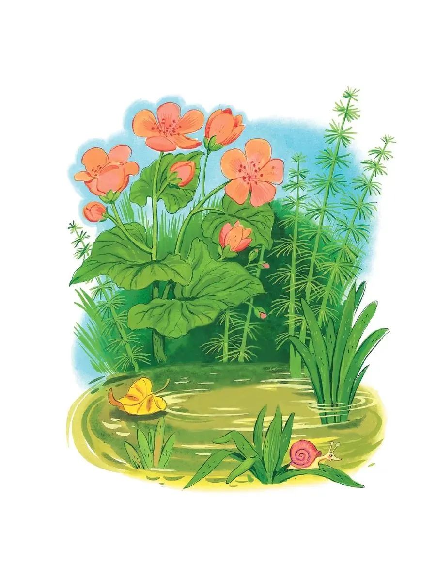 Сказки и стихи для самых маленьких
