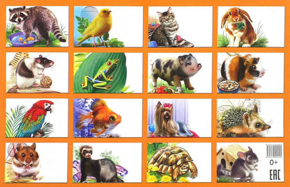 Карточки. Домашние любимцы ; Карточки. Домашние любимцы