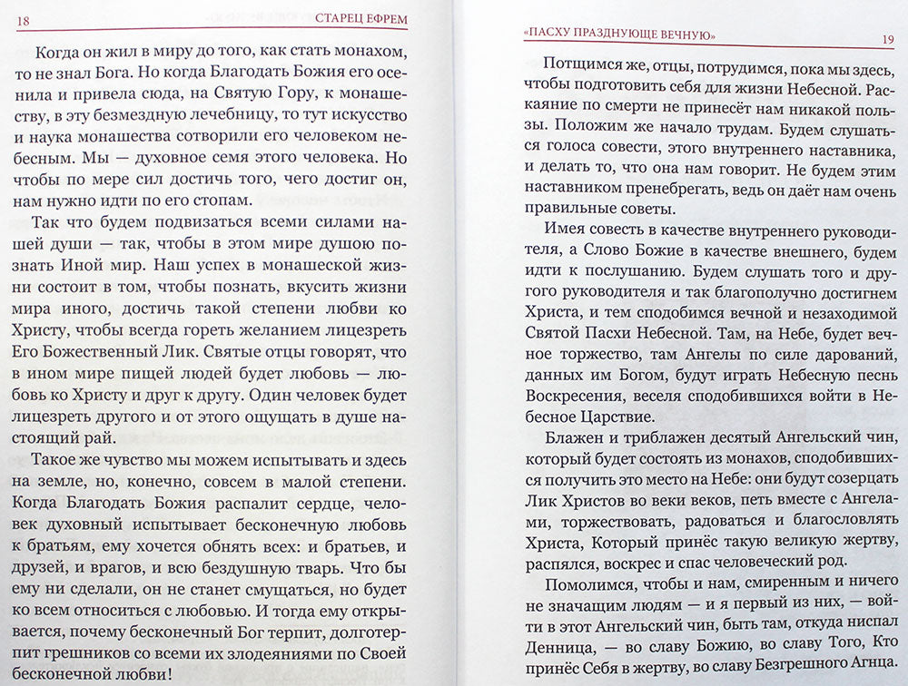 Искусство спасения. Старец Ефрем. Том 1