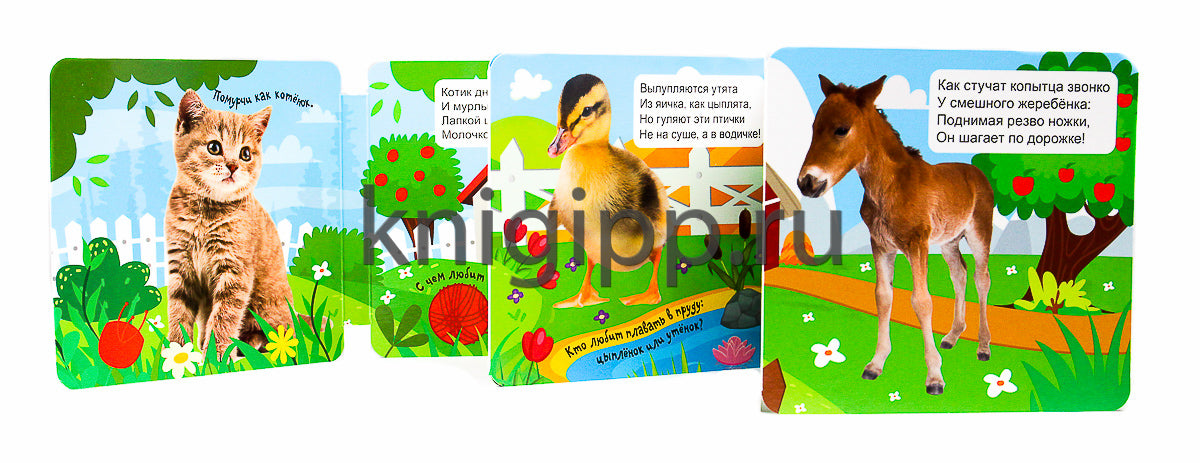 КНИЖКА-ГАРМОШКА. ДОМАШНИЕ ЖИВОТНЫЕ