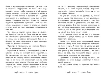 Фомка - белый медвежонок: рассказы о животных