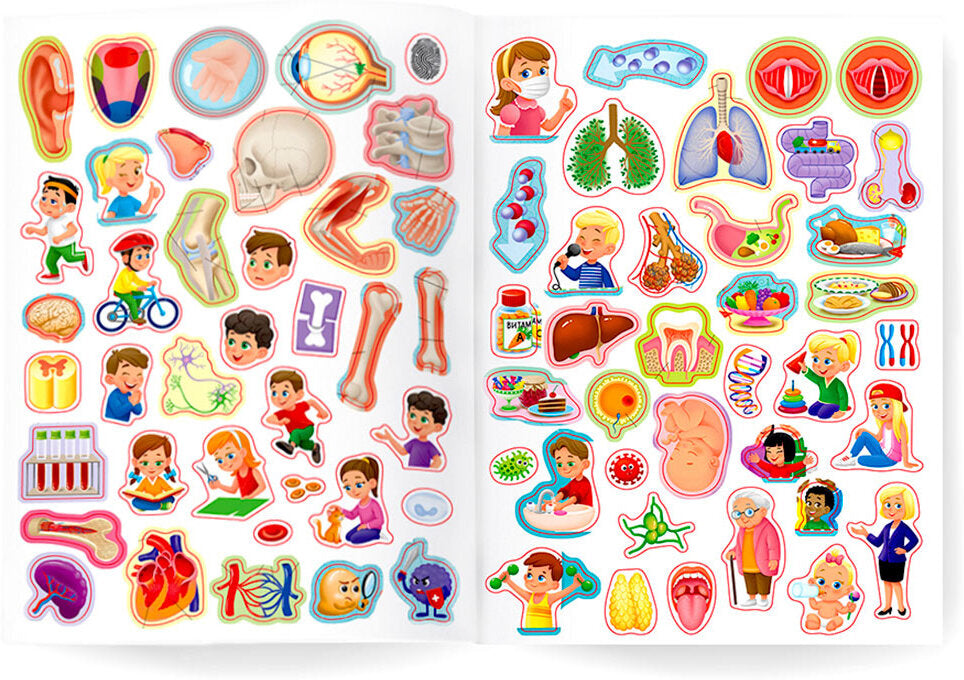 Атлас с наклейками. Тело человека. 21х29,7 см. 16 стр. ГЕОДОМ