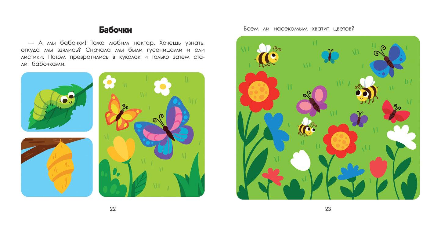 Лес: энциклопедия для малышей в картинках