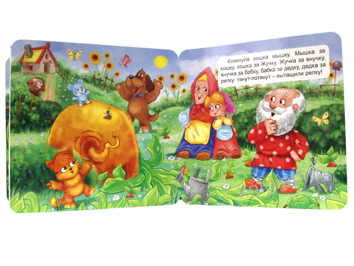 КНИЖКА-ГАРМОШКА. РЕПКА