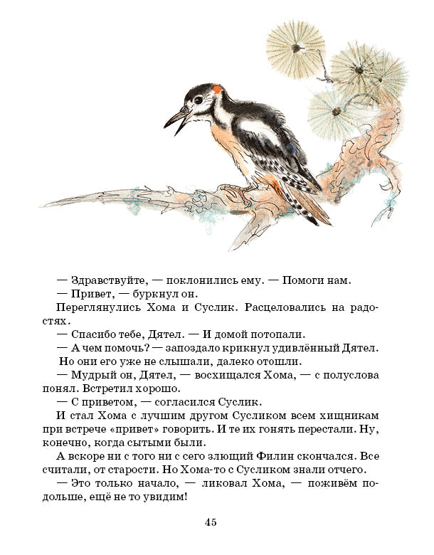 Приключения Хомы