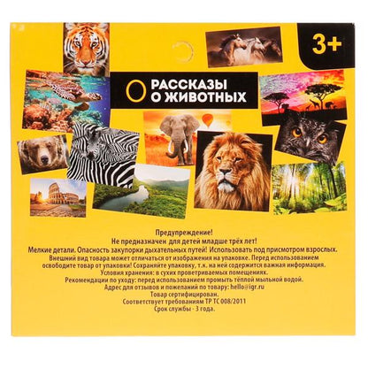 Jouet en plastique pour dinosaure, 14,7x5,3x4,5 cm, affichage individuel, ISLAND, VOMM, en cor.2*90