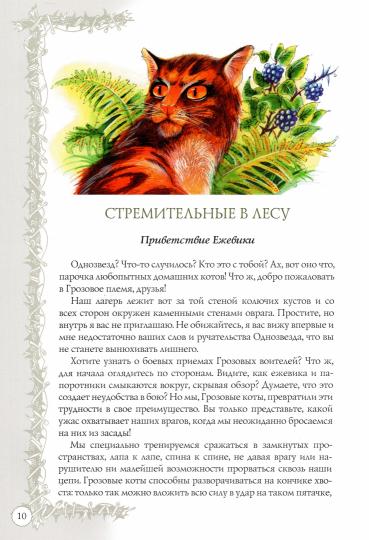 Коты-воители. Подарок. Битвы племен.