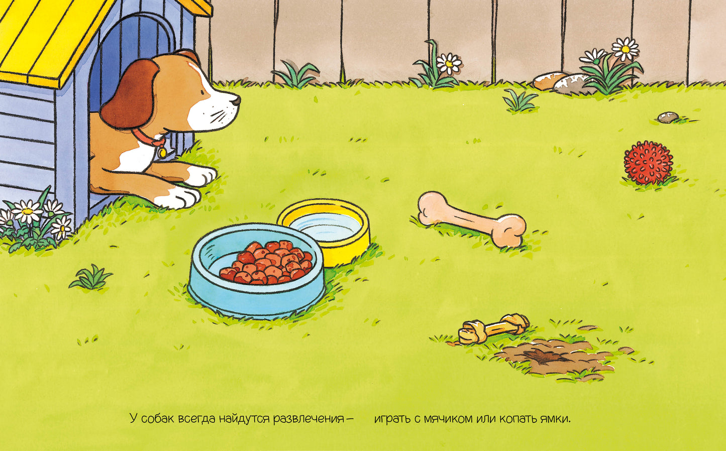 Домашние питомцы