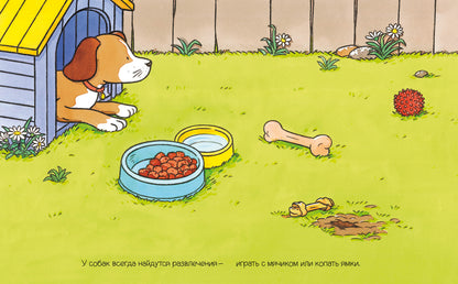 Домашние питомцы