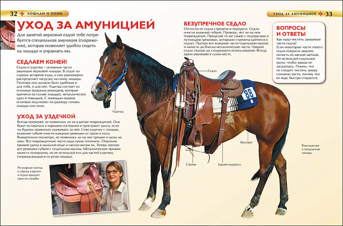 Лошади и пони. Детская энциклопедия