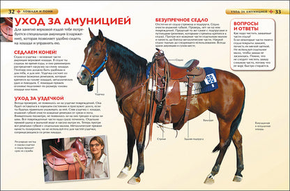 Лошади и пони. Детская энциклопедия