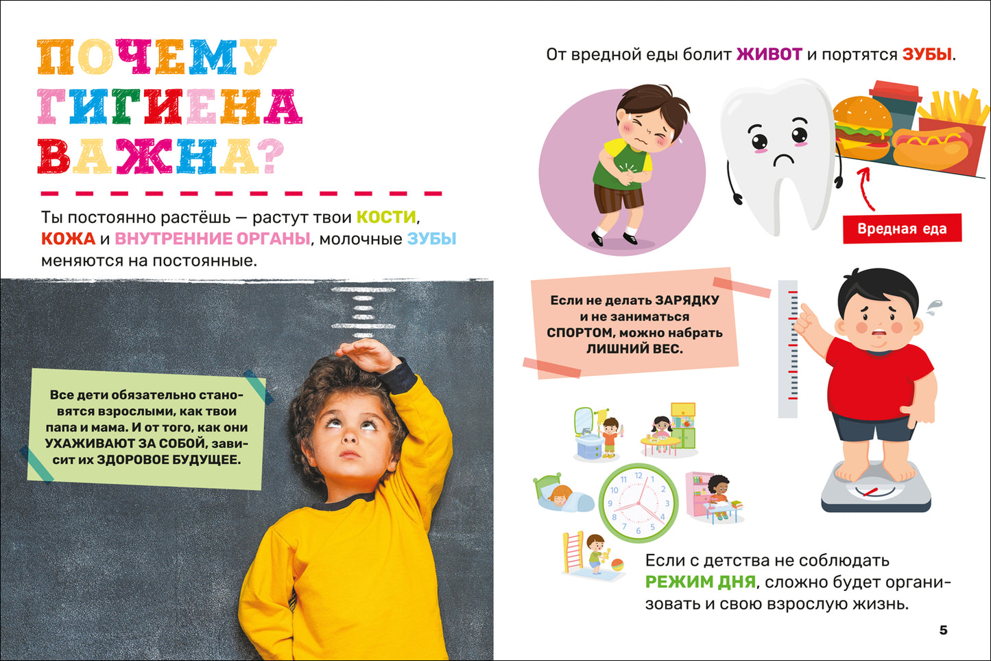 Гигиена. Первая энциклопедия малыша