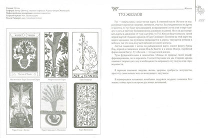 Мудрость Таро