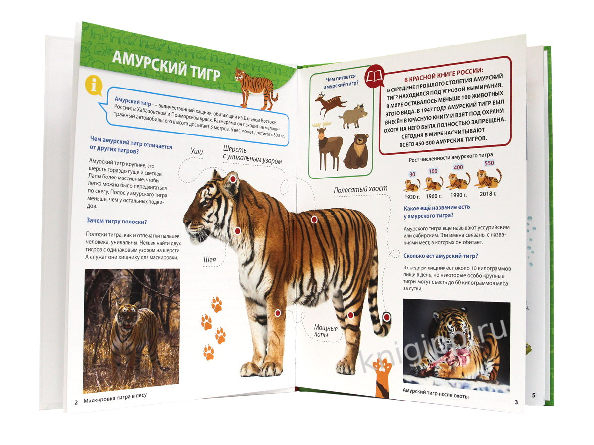 ПЕРВАЯ ДЕТСКАЯ ЭНЦИКЛОПЕДИЯ. ВСЁ О КРАСНОЙ КНИГЕ МАЛЫШАМ