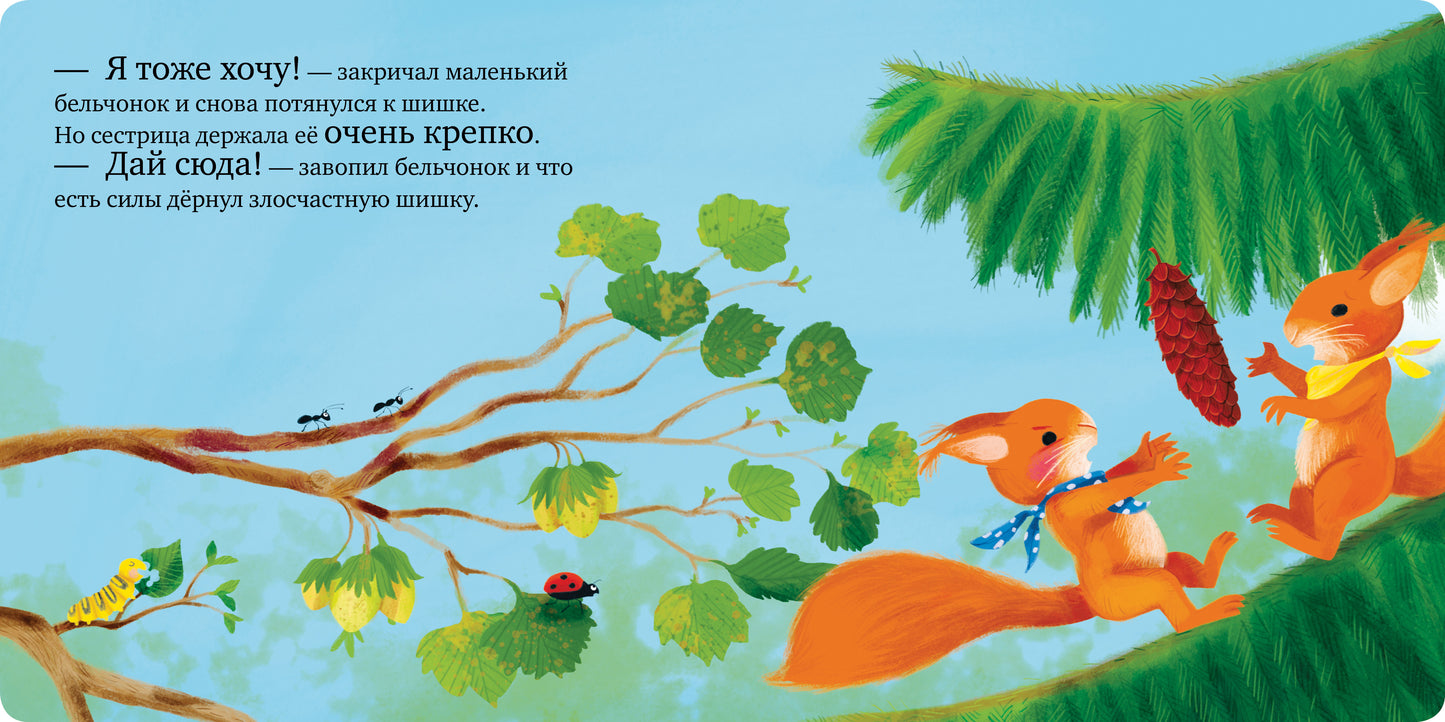 Книжки-картонки. Сердитый бельчонок/Райдер К.