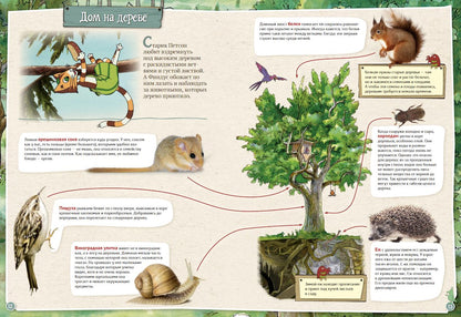 Петсон и Финдус изучают животных (второе издание, исправленное)