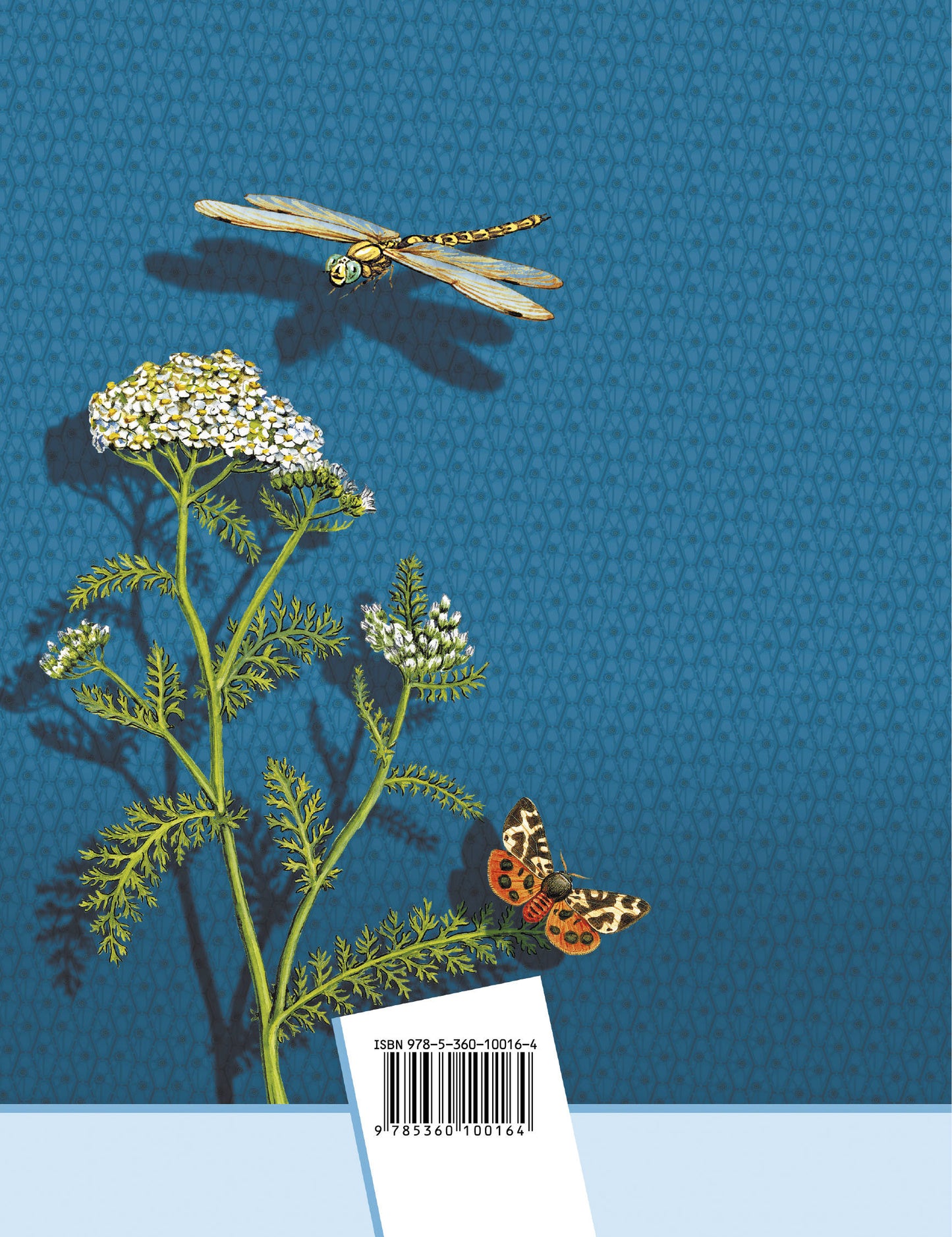 Биология. 5 класс. Рабочая тетрадь.