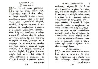 Требник. В 2 ч. (репринтное изд., золот.тиснен.)